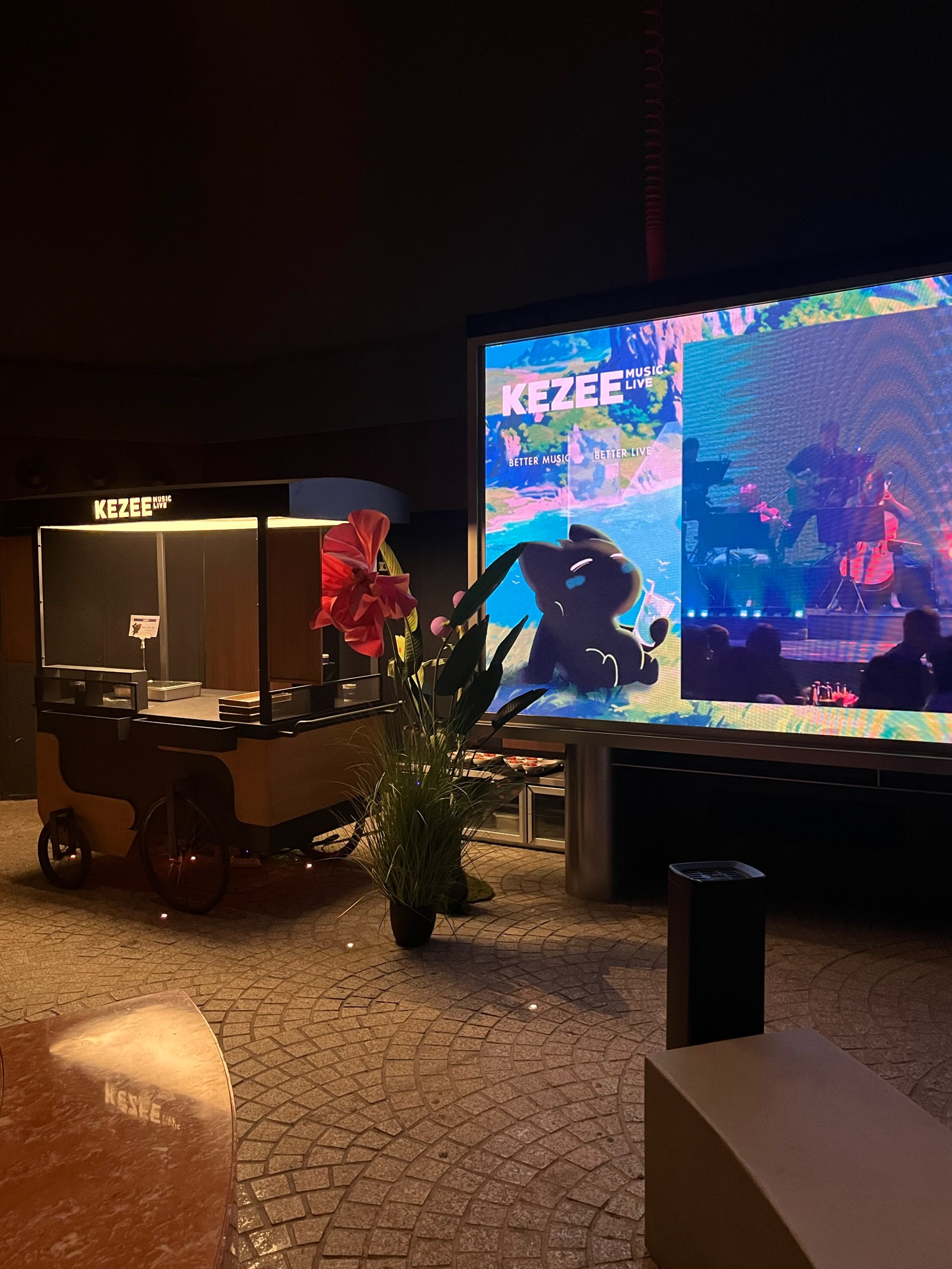 临沂商务ktv怎么玩才尽兴-郯城县ktv预订